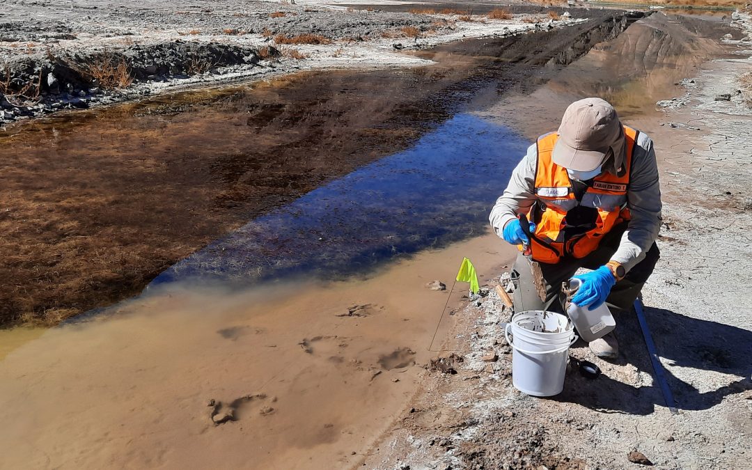 Análisis del impacto ambiental de derrames de concentrado mineral en ecosistemas acuáticos y terrestres