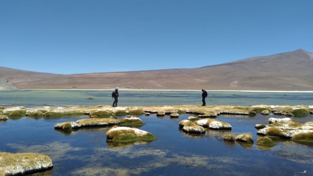 SMI-ICE-Chile es parte de nuevo anillo de investigación sobre salares andinos y extracción de litio
